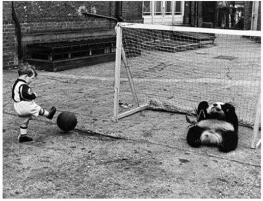 Un ragazzo gioca a calcio contro un panda gigante allo zoo di Londra 1939