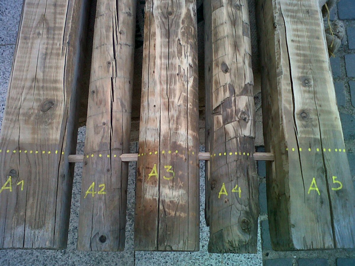 Alig'art 2014 - Mazzamurru