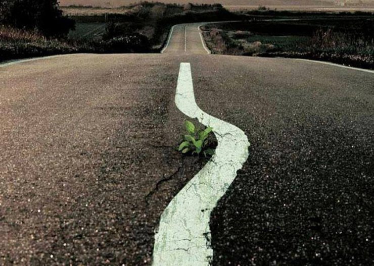 "Respect" del fotografo Arman Shirzad