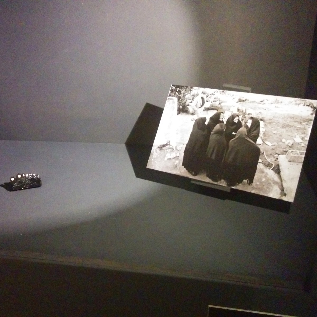 Alig'art - La mostra