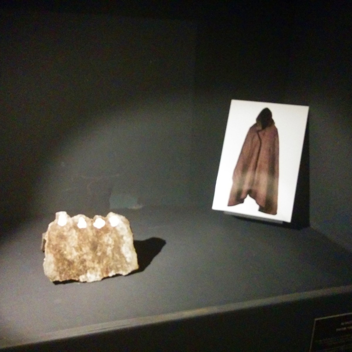 Alig'art - La mostra