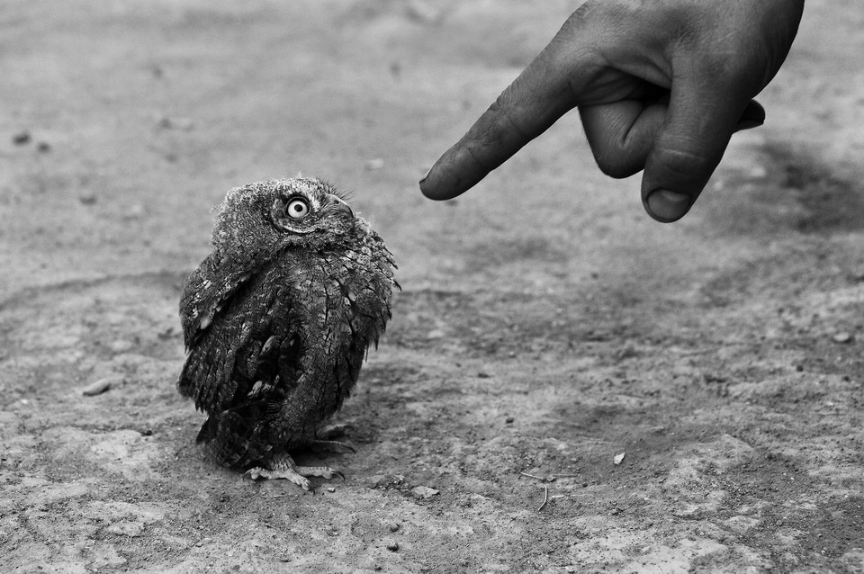 Scatto del fotografo Ani Gevorg