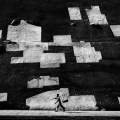 Fan Ho