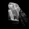 Fan Ho