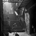 Fan Ho