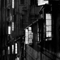 Fan Ho