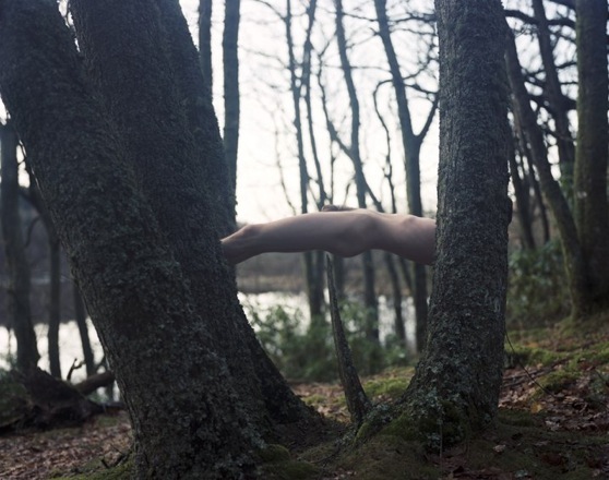 Frederic Fontenoy
