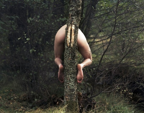Frederic Fontenoy