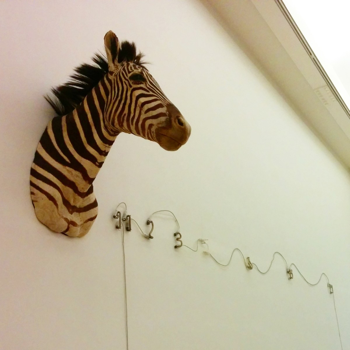 Milano - Museo del 900 - “Zebra (Fibonacci)” di Mario Merz