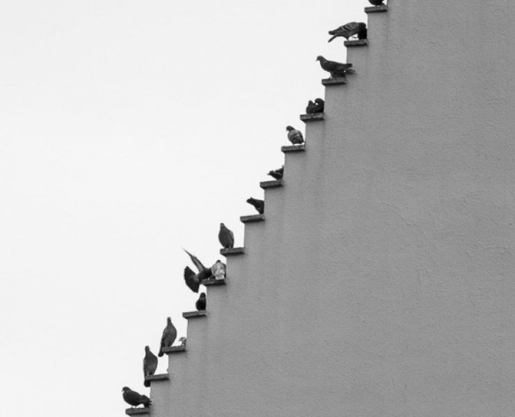 Scatto del fotografo Stefan Holl