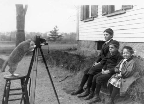 Il gatto di famiglia fa un ritratto dei bambini, Massachusetts 1909
