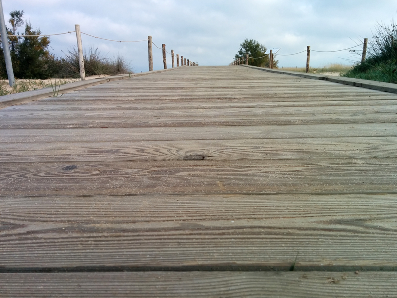 Il riscatto del peluche