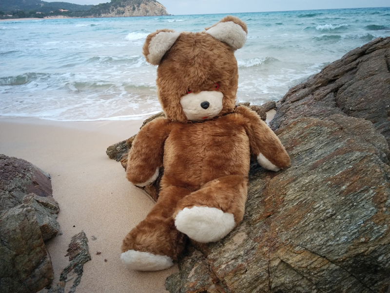 Il riscatto del peluche