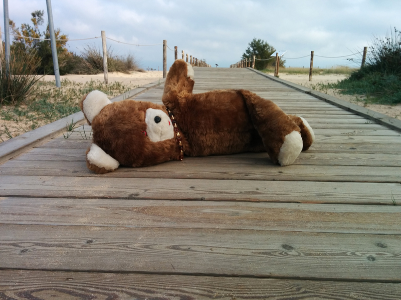 Il riscatto del peluche