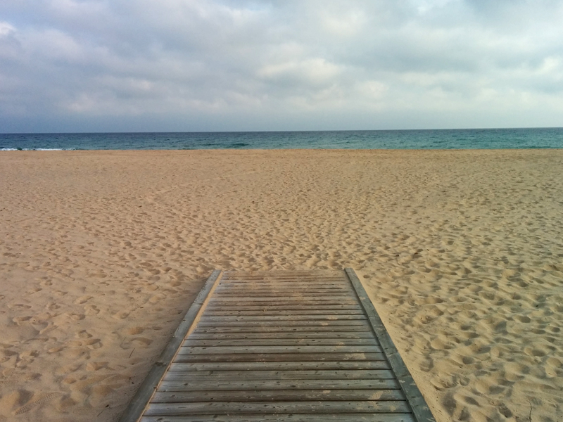 Il riscatto del peluche