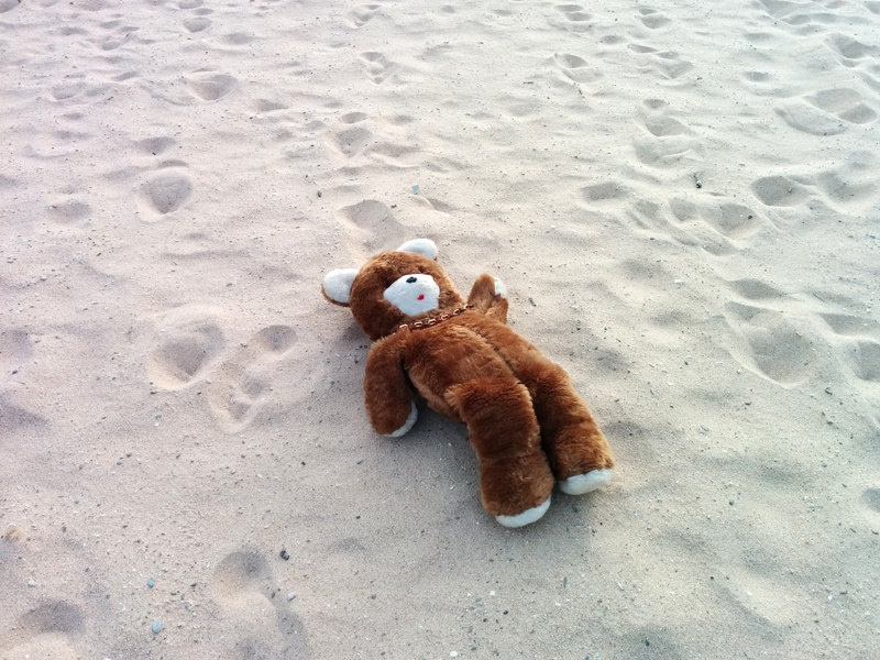 Il riscatto del peluche