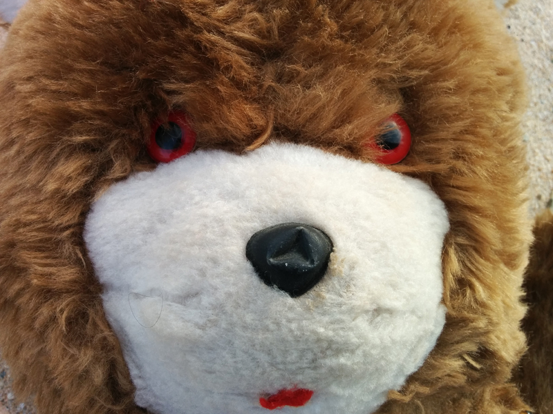 Il riscatto del peluche