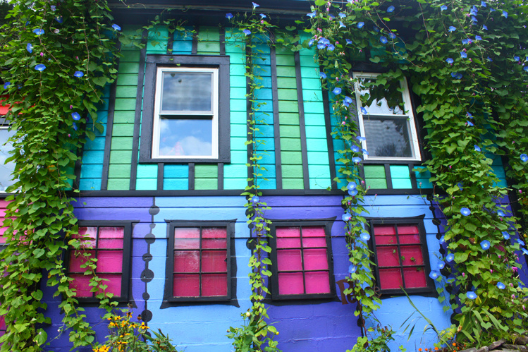 La casa arcobaleno di Katwise