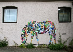 Martin Whatson