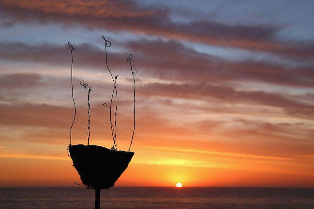Sculpture by the Sea
