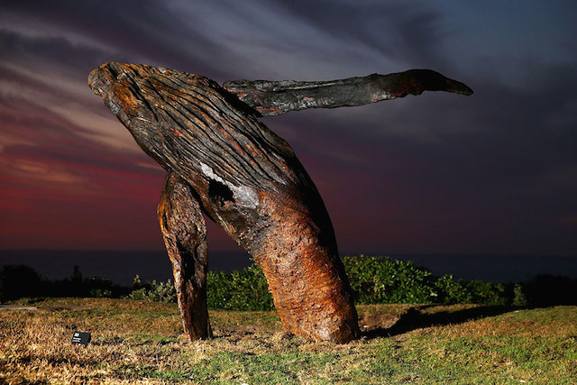 Sculpture by the Sea