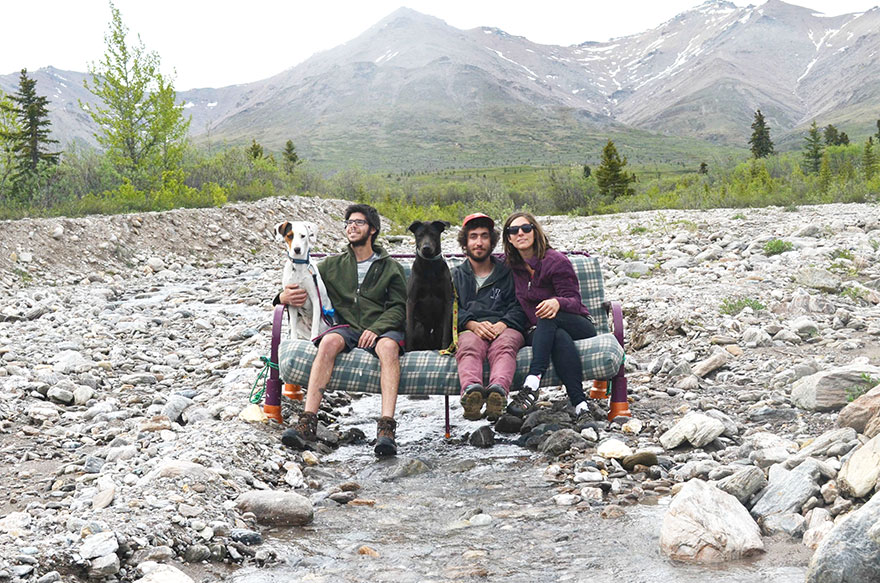 Tre amici, due cani e un divano in giro per l'America