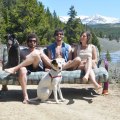 Tre amici, due cani e un divano in giro per l’America