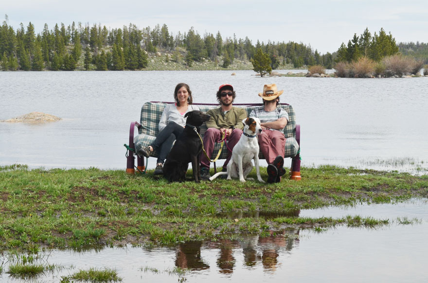 Tre amici, due cani e un divano in giro per l'America