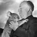 Alfred Hitchcock con un koala allo Zoo di Sydney 1960