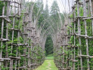 Arte Sella - Cattedrale Vegetale