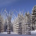 Artesella – Cattedrale Vegetale di Giuliano Mauri