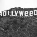 La scritta Hollywood nel 1976 modificata in onore delle leggi permissive sulla marijuana in California