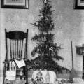 L’idea dell’albero di Natale sembra esser nata nella Germania medievale e probabilmente era una reliquia di una vecchia cerimonia celtica. I cristiani tedeschi portavano alberi nelle loro case