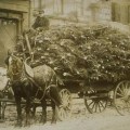 Carro di alberi di Natale, Hartford, ca. 1890 – Connecticut Historical Society and Connecticut History Online