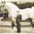 Il cavallo più grande del mondo di sempre. 1928-1948