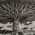 Beth Moon