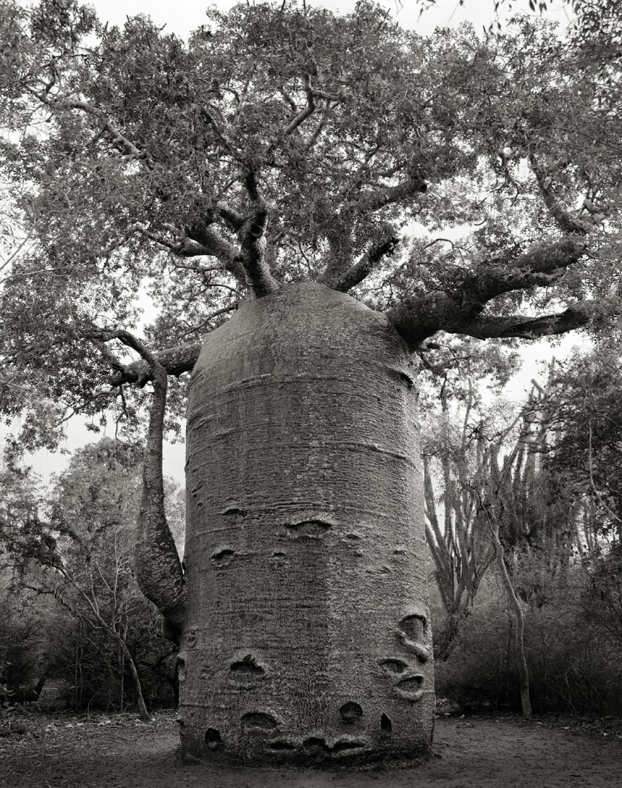 Beth Moon