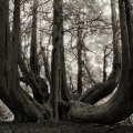 Beth Moon