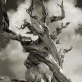 Beth Moon