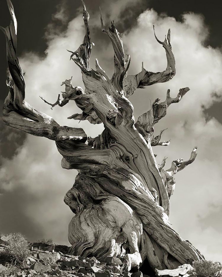 Beth Moon