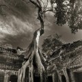 Beth Moon