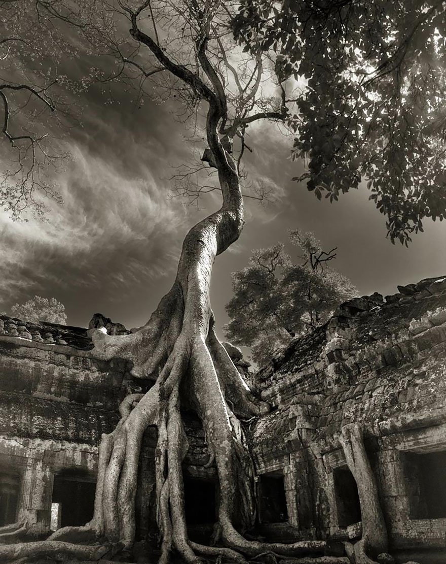Beth Moon