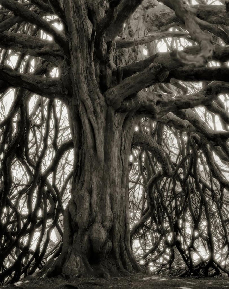 Beth Moon