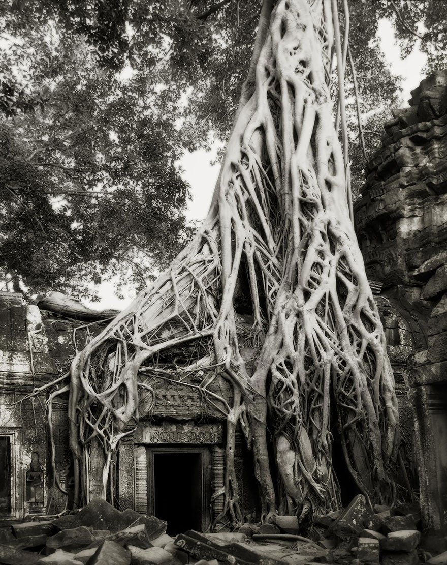 Beth Moon