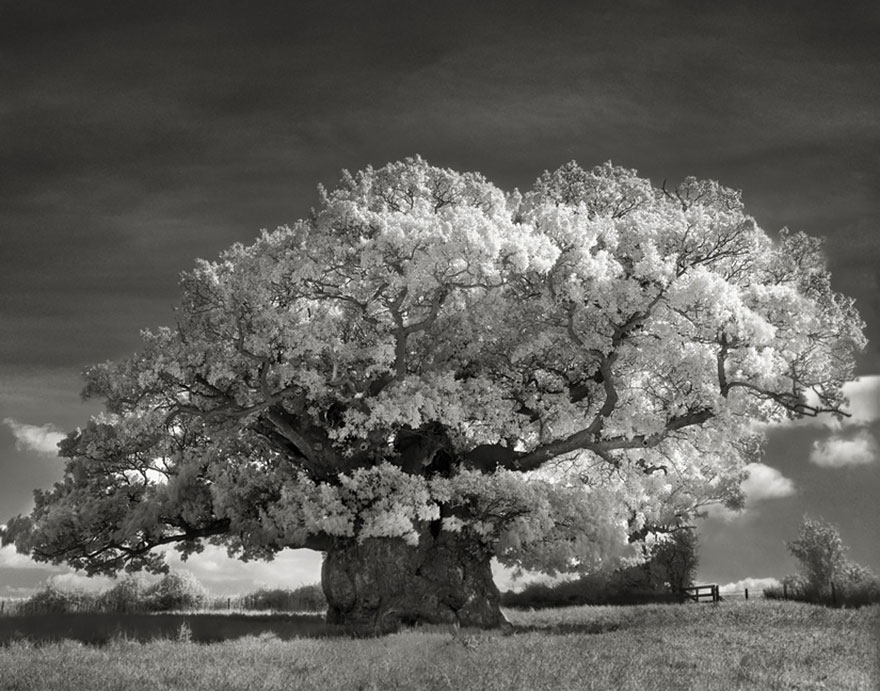 Beth Moon