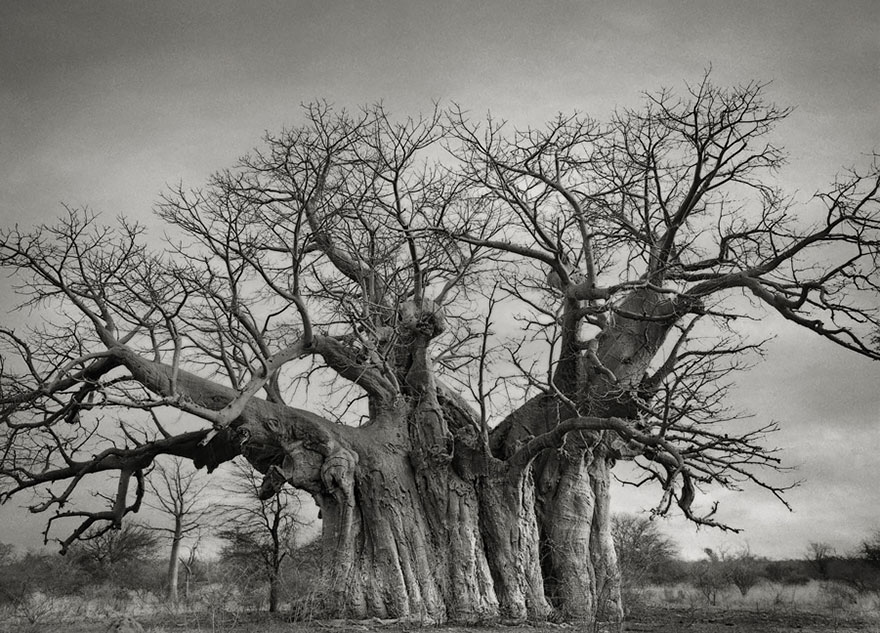 Beth Moon