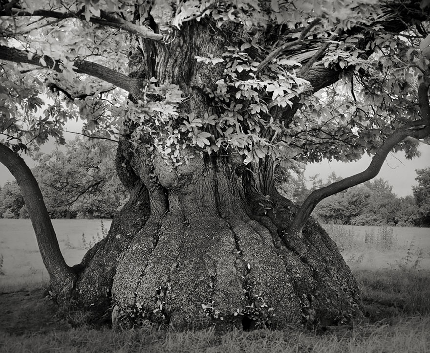 Beth Moon