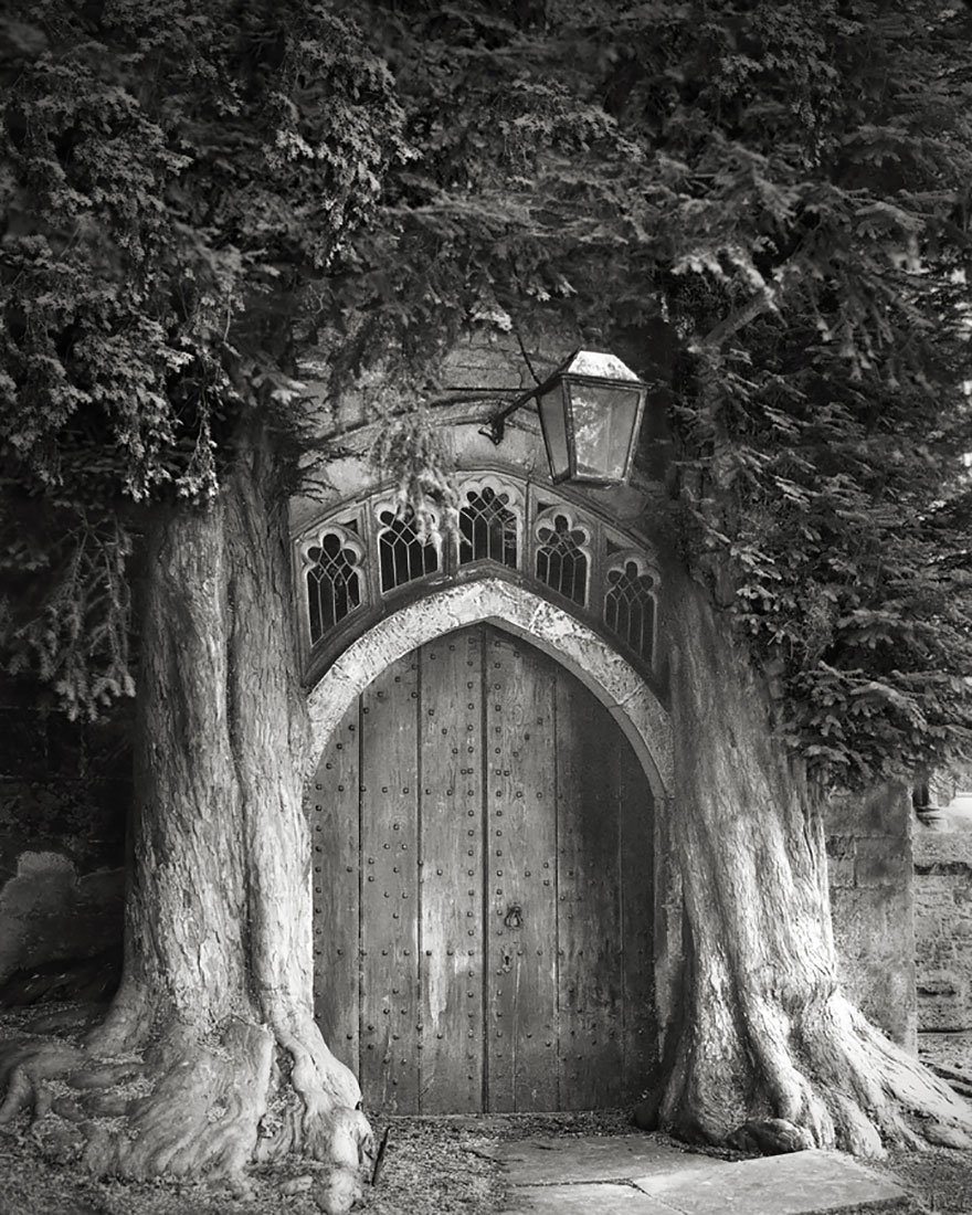 Beth Moon