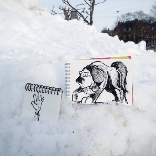 Cartoon Bombing by David Troquier