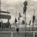 Fans negli alberi. Match tra Belgio e Olanda nel 1913
